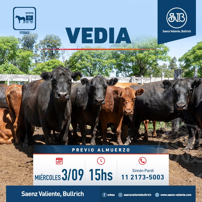 Feria en Vedia
