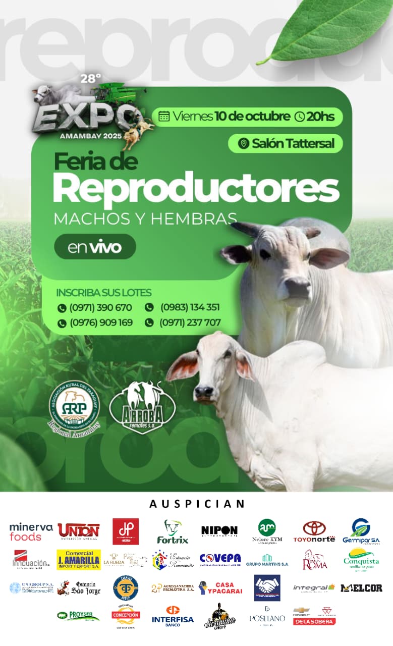 Remate 28° Expo Amambay