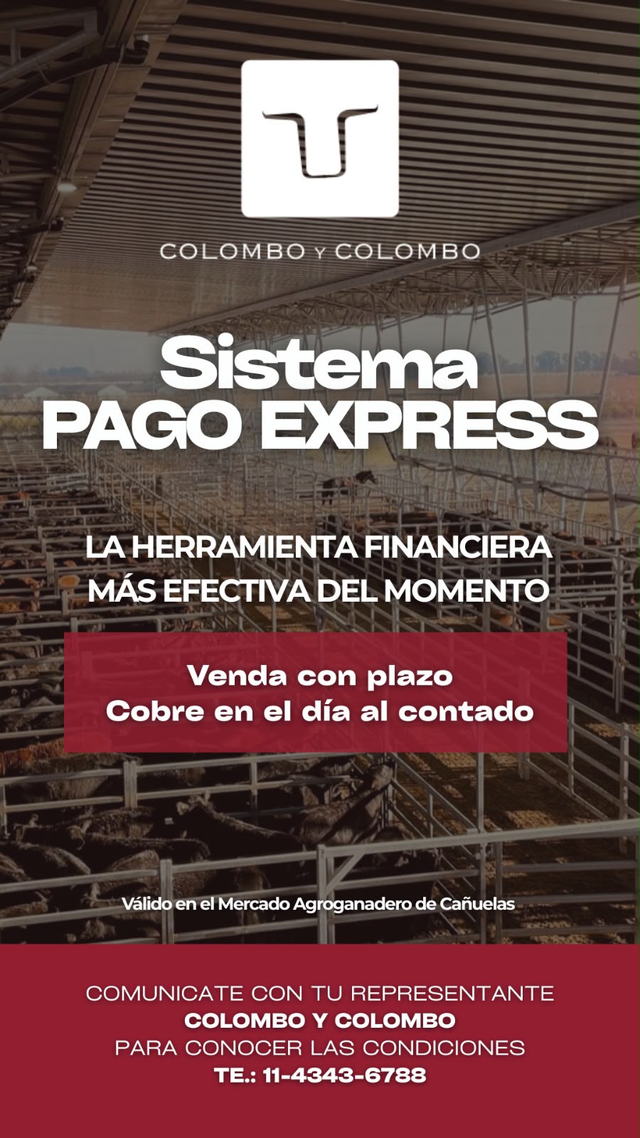 Afiche Remate fin de año CyC