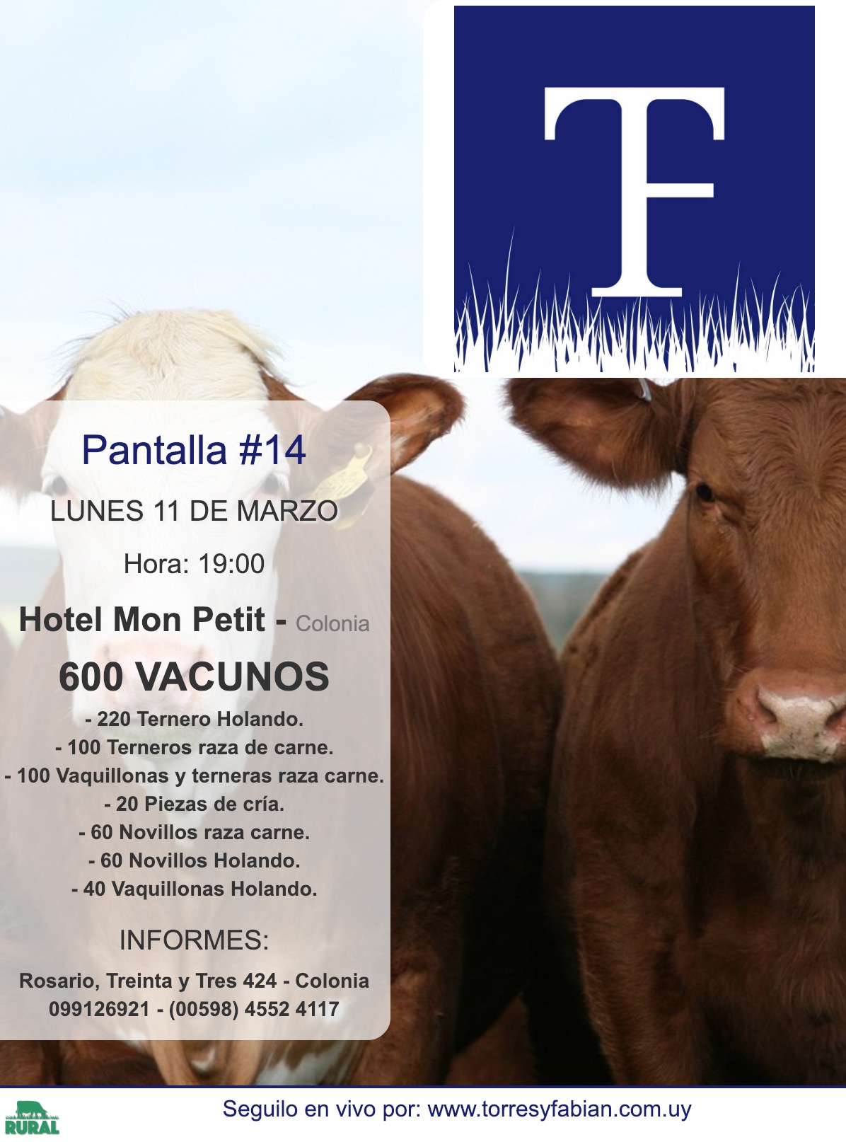 Afiche Pantalla #14