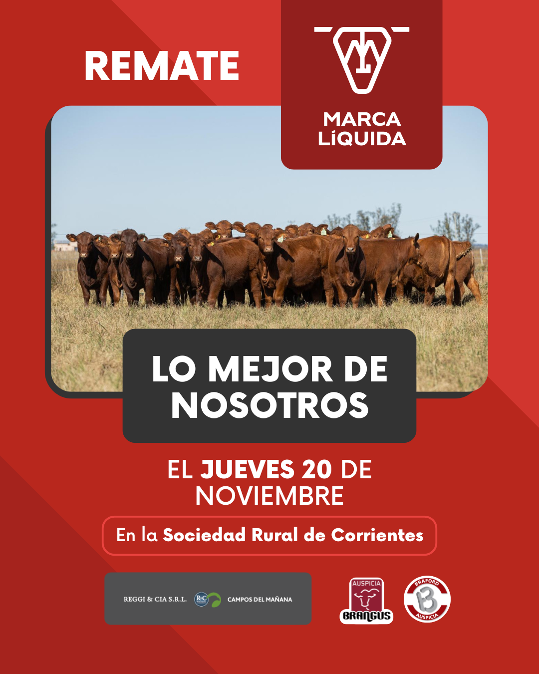 4ºREMATE MARCA LIQUIDA