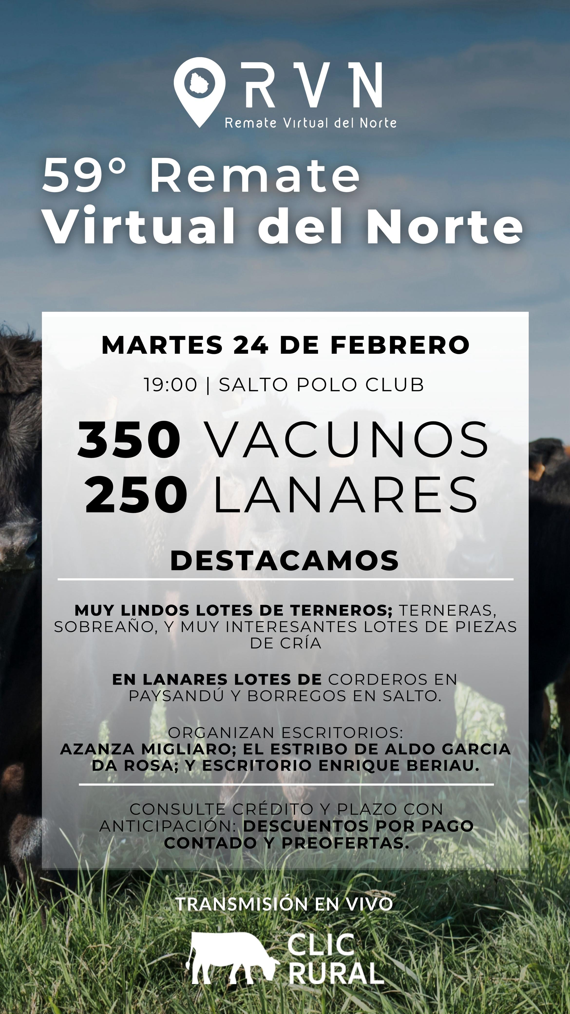 59º Remate virtual del norte