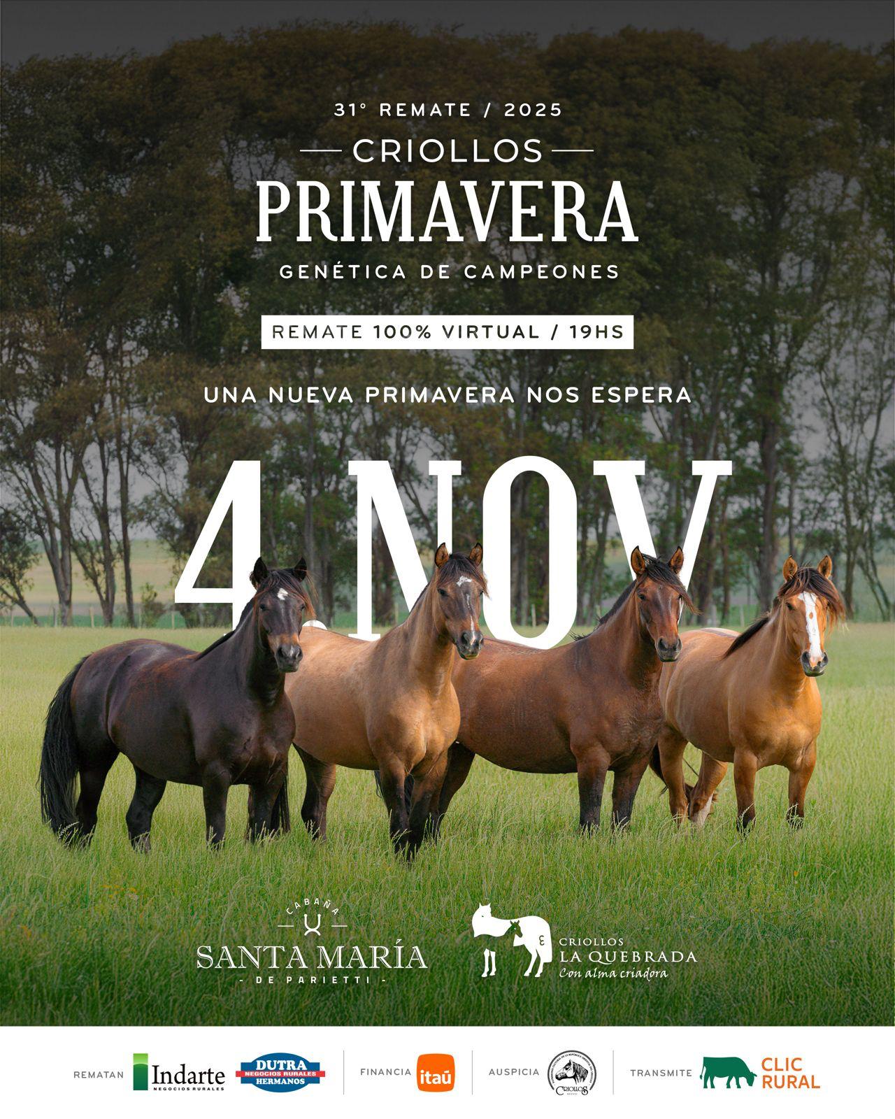 Remate Criollos Primavera