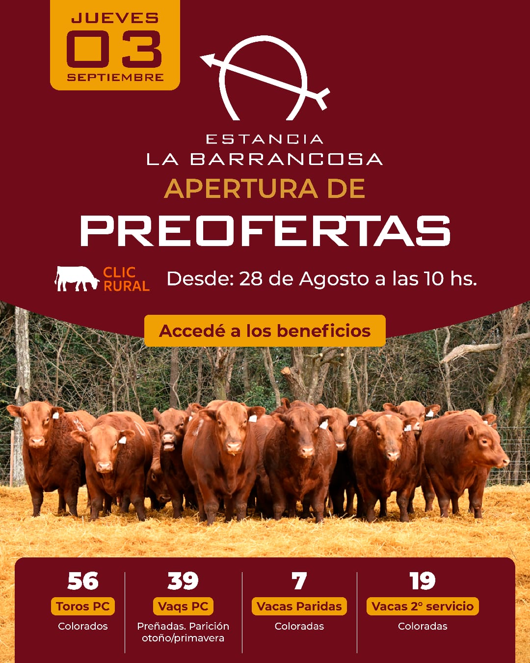 Afiche 3er Remate General Belgrano