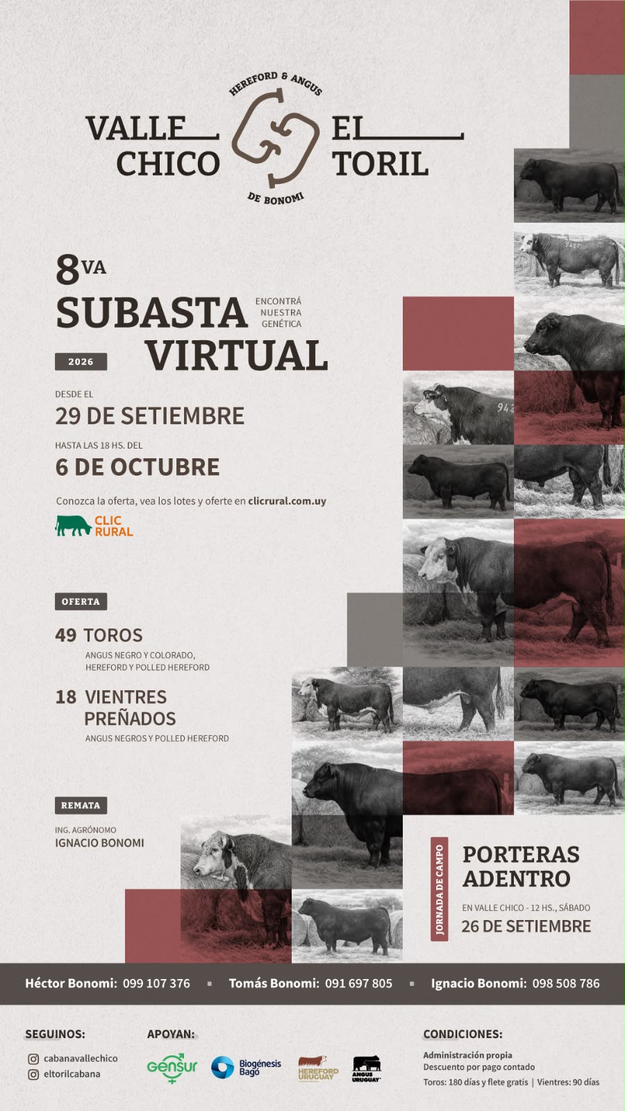 Subasta online - Valle Chico y El Toril