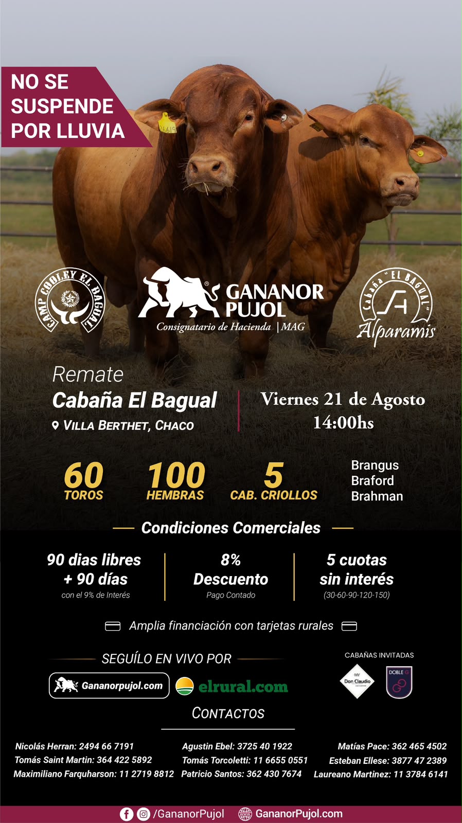 Remate Cabaña El Bagual