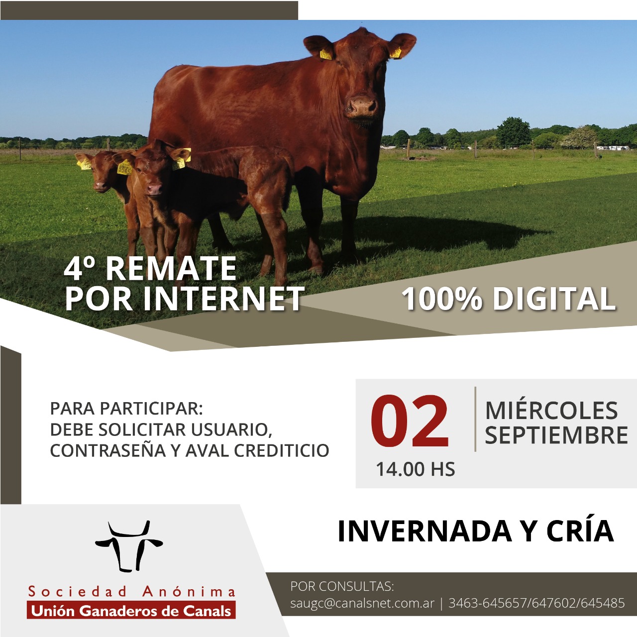 Afiche 4º Remate por Internet