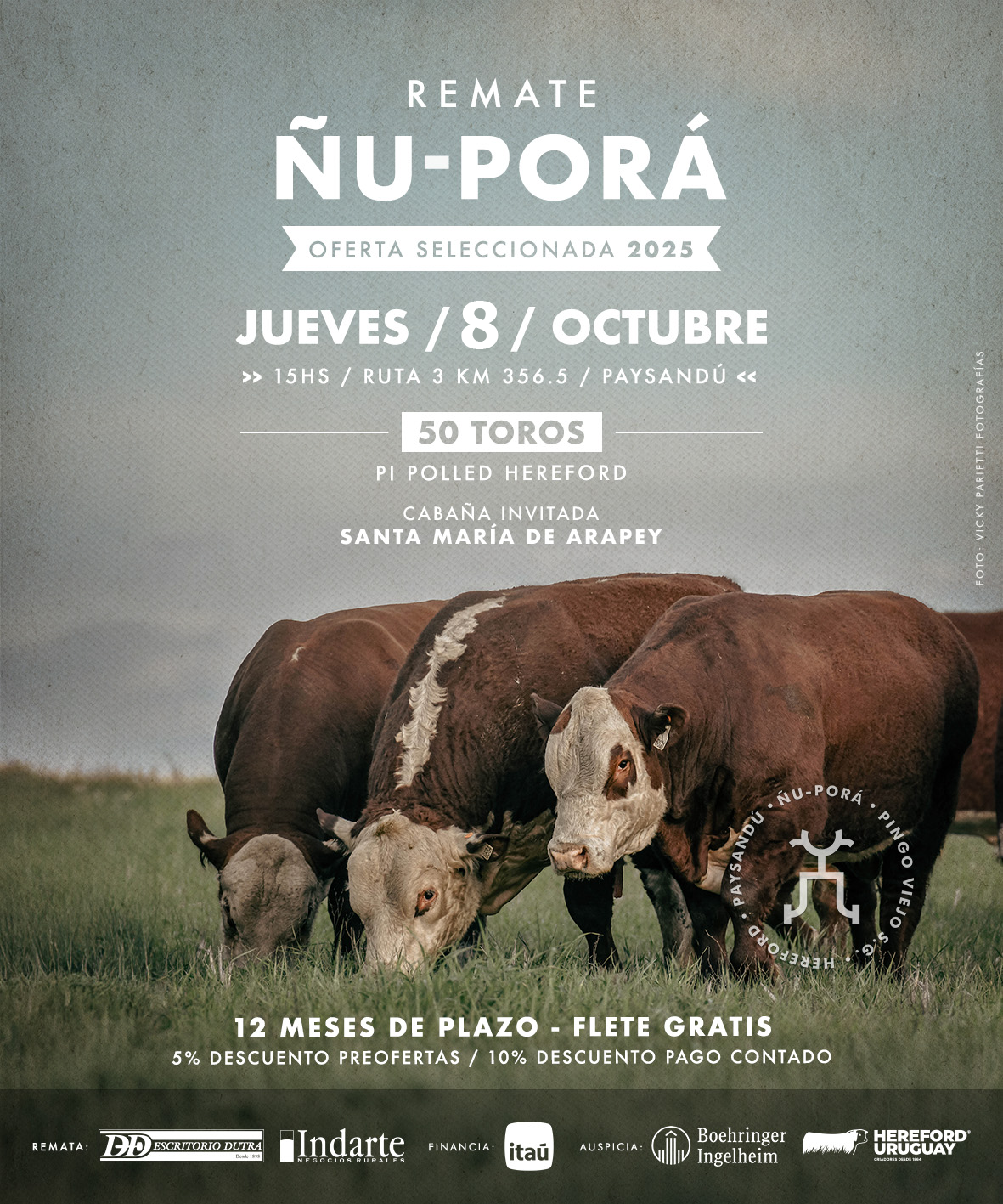 Ñu Pora