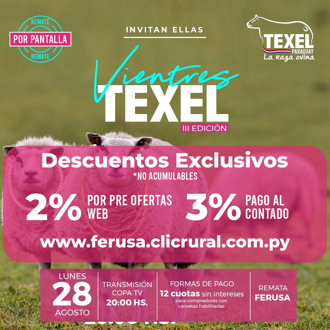 Afiche VIENTRES TEXEL - 3° EDICIÓN