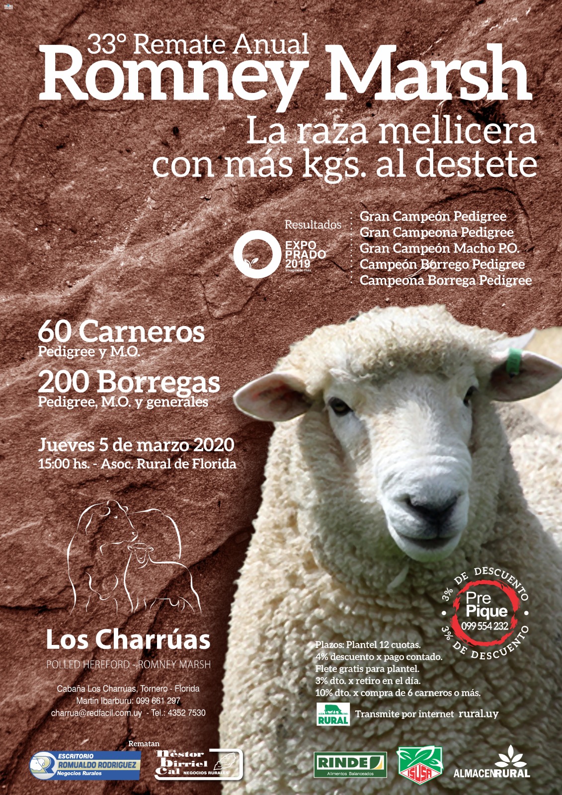 Afiche 33˚ Remate Anual Romney Marsh 