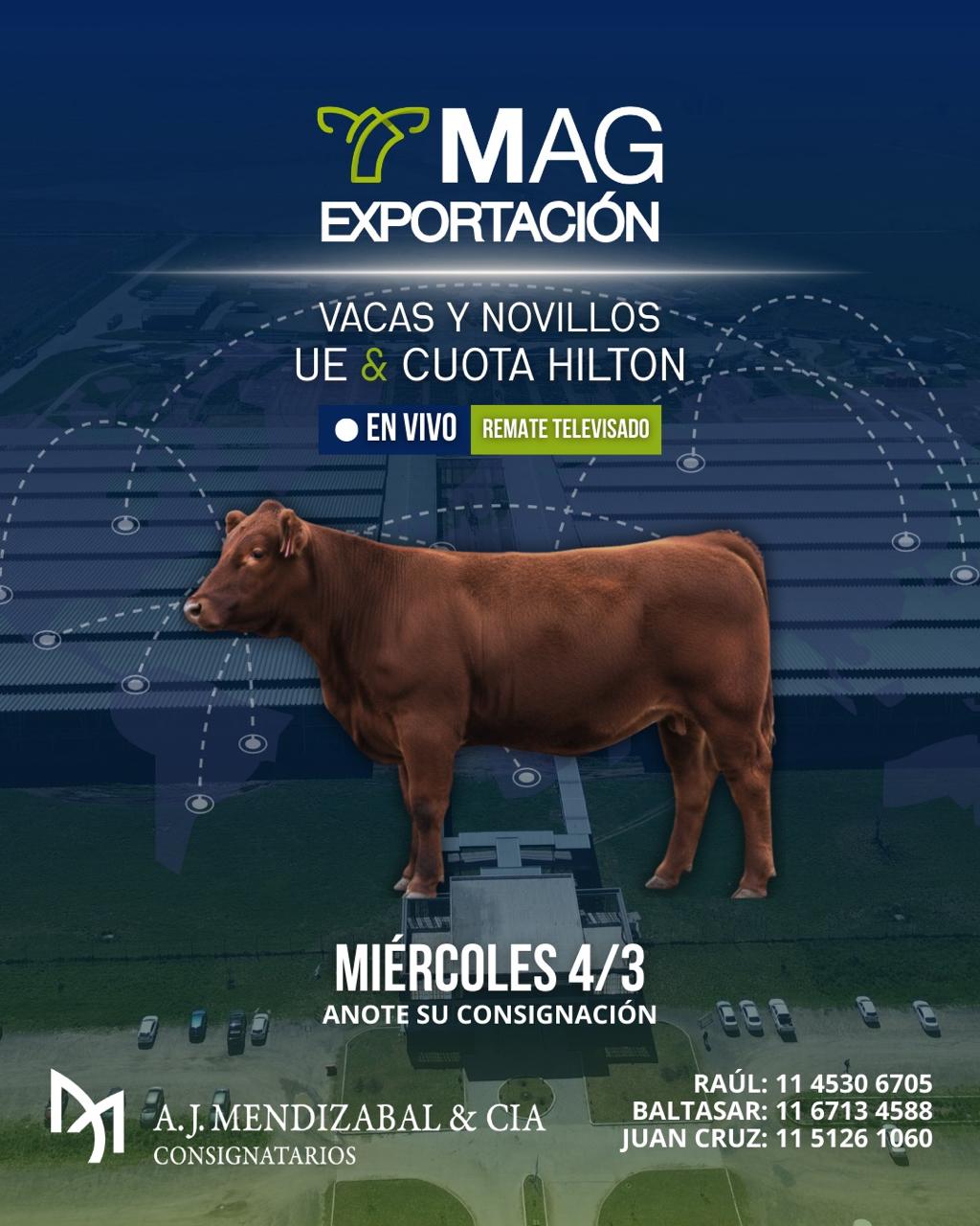 Remate televisado MAG