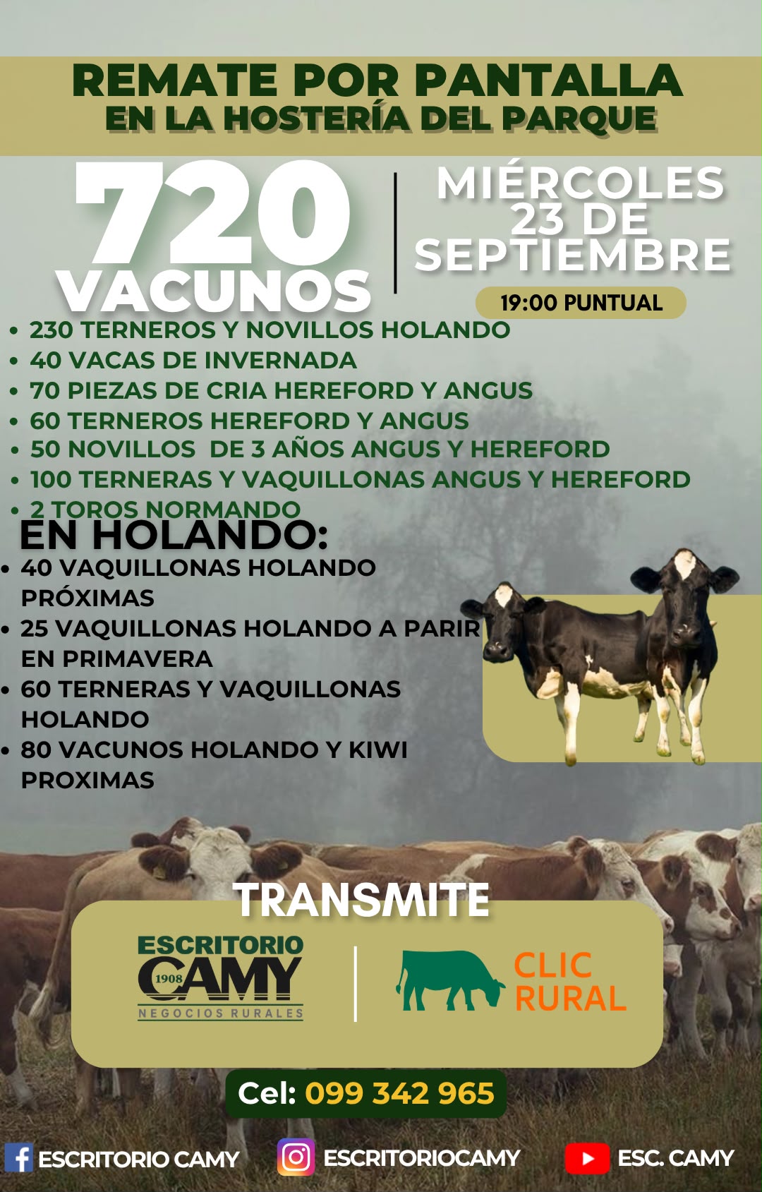 Afiche Pantalla Camy
