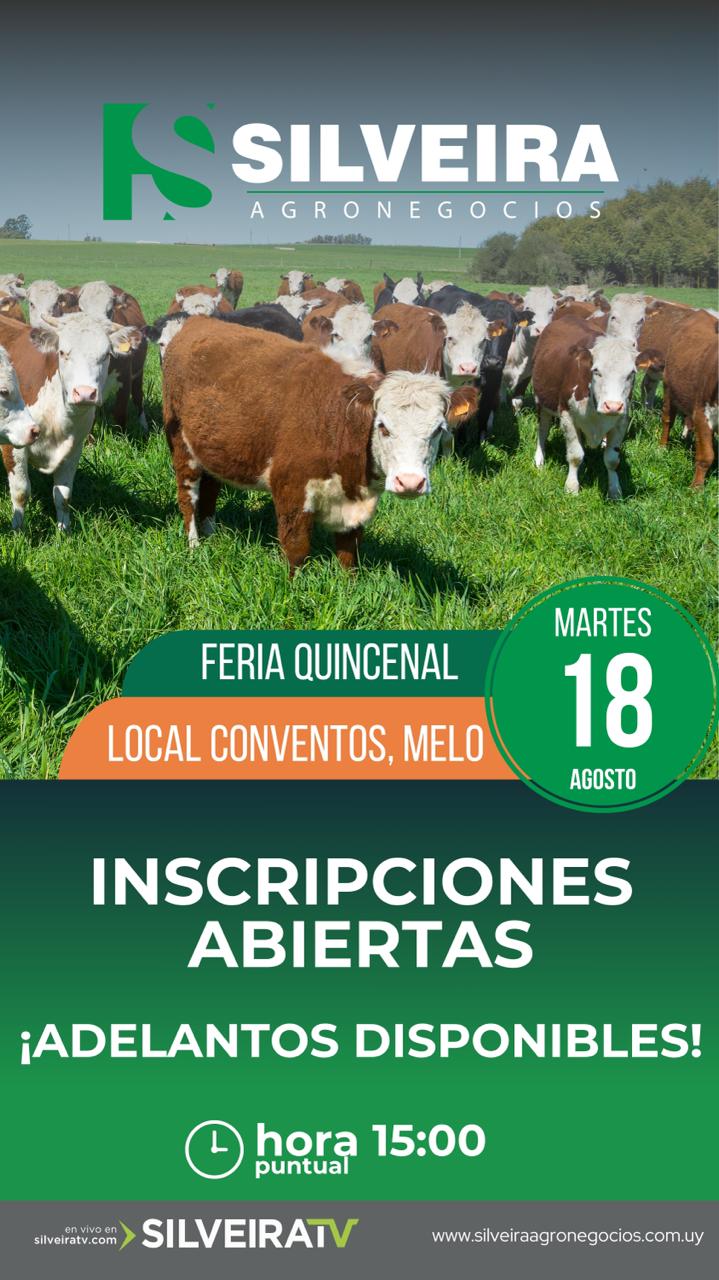 Feria quincenal - Silveira Agronegocios