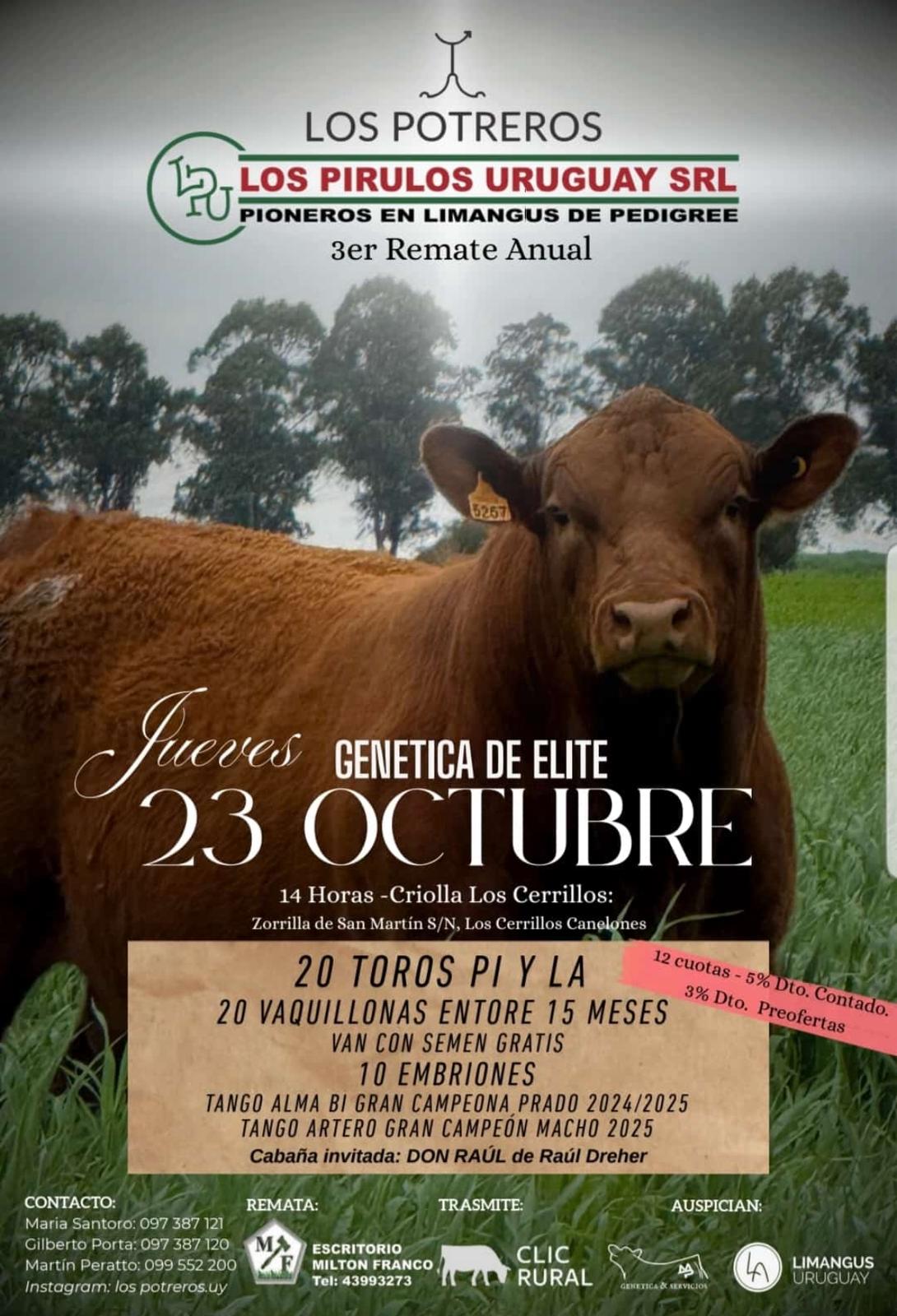 Afiche 3º Los Potreros