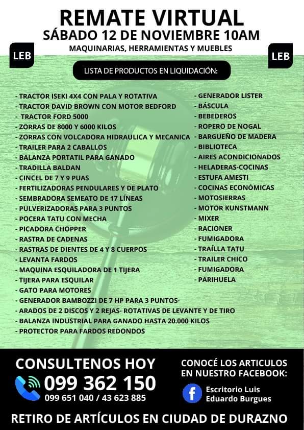 Afiche Remate Virtual - Luis E. Burgues