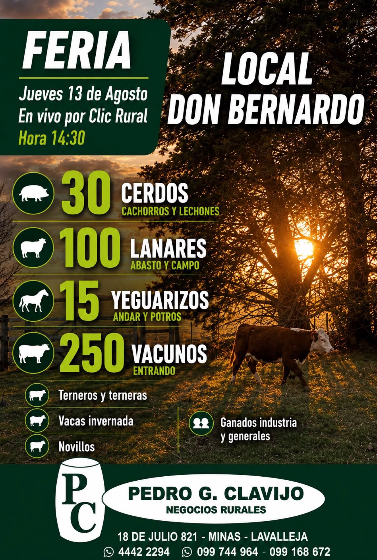 Feria en local Don Bernardo