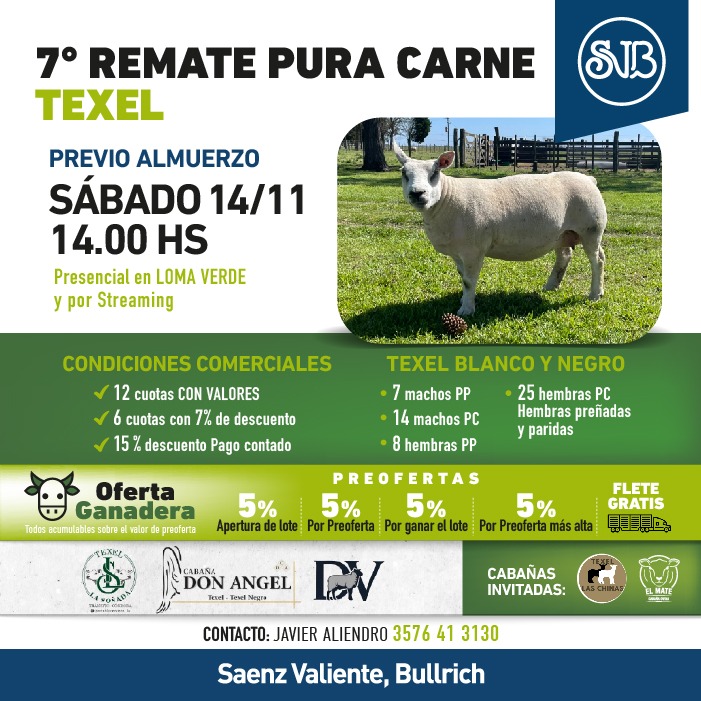 7° Rte. Pura Carne - TEXEL