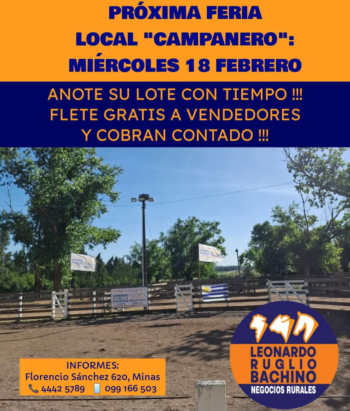 Remate Feria Mensual - Leonardo Ruglio Bachino