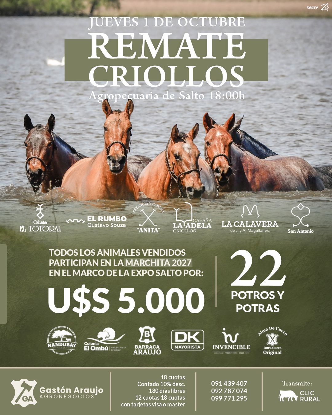 Remate Remate Criollos