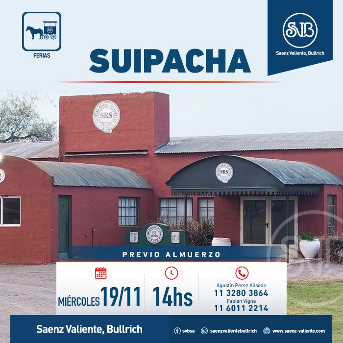 Feria en Suipacha