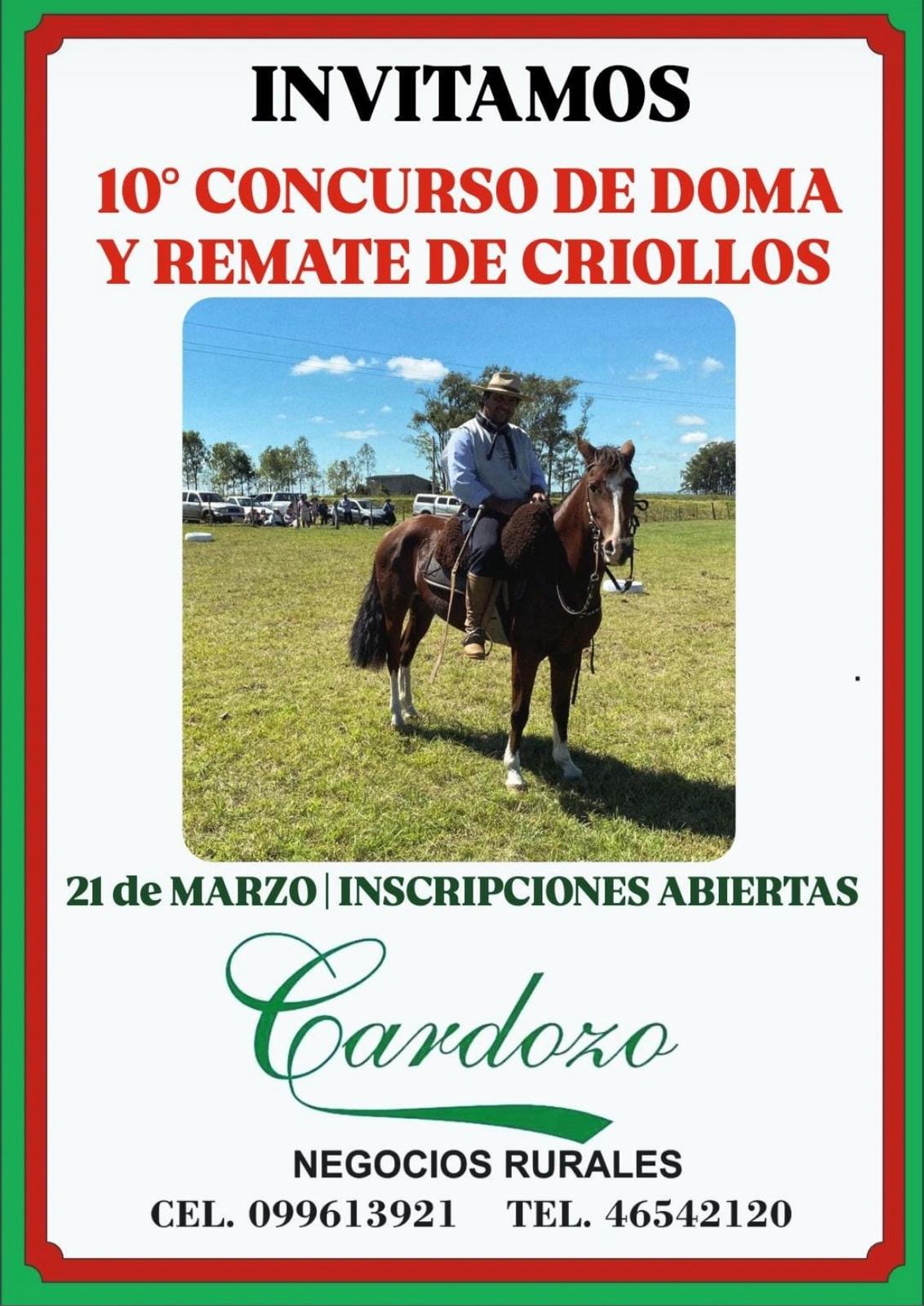 Remate 10º Concurso de doma y remate de criollos