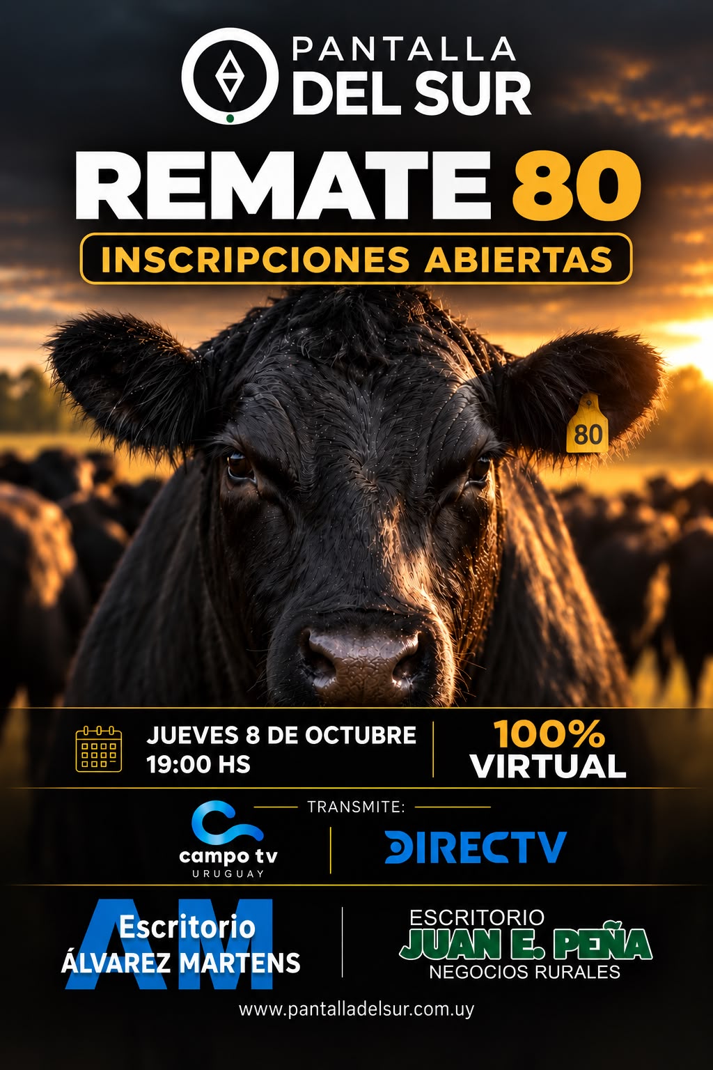 Remate 80º Pantalla del Sur