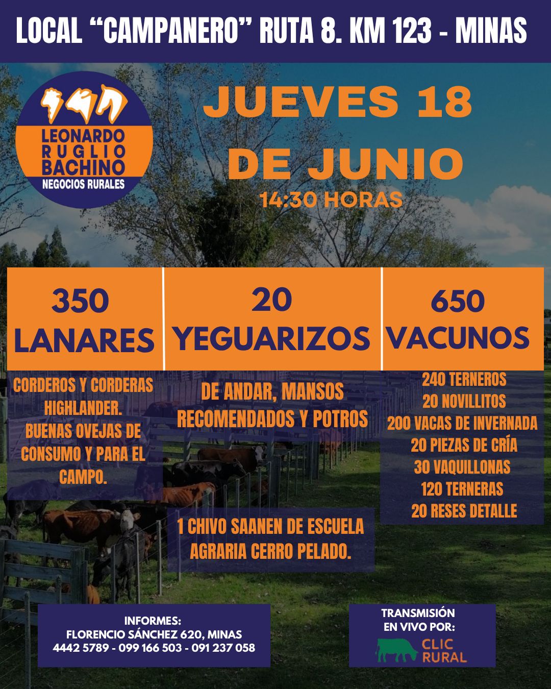 Remate Feria Mensual - Leonardo Ruglio Bachino