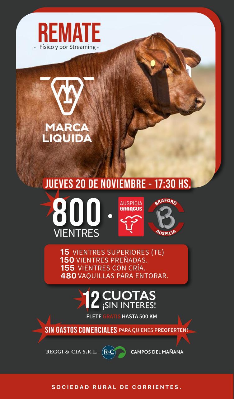 Remate 4ºREMATE MARCA LIQUIDA