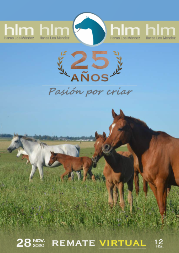 Afiche Haras Los Mendez VIRTUAL