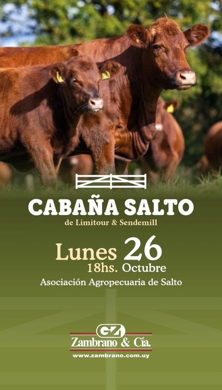 Afiche Cabaña Salto de Limitour & Sendemill