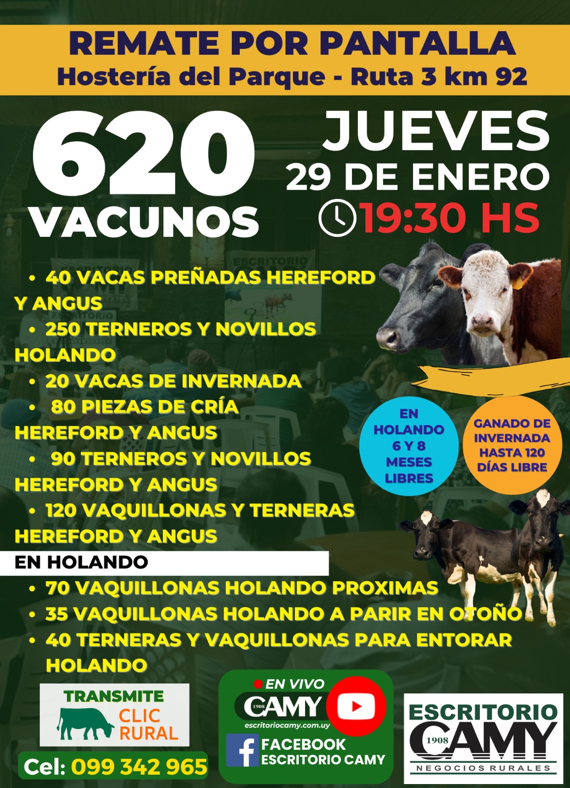 Remate 29 de Enero - Hostelería del Parque