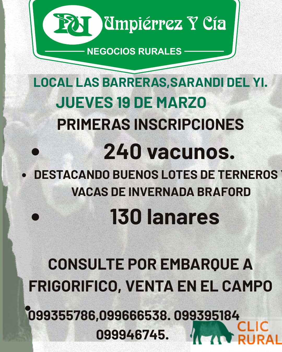 Afiche Feria Mensual - Umpierrez y Cia