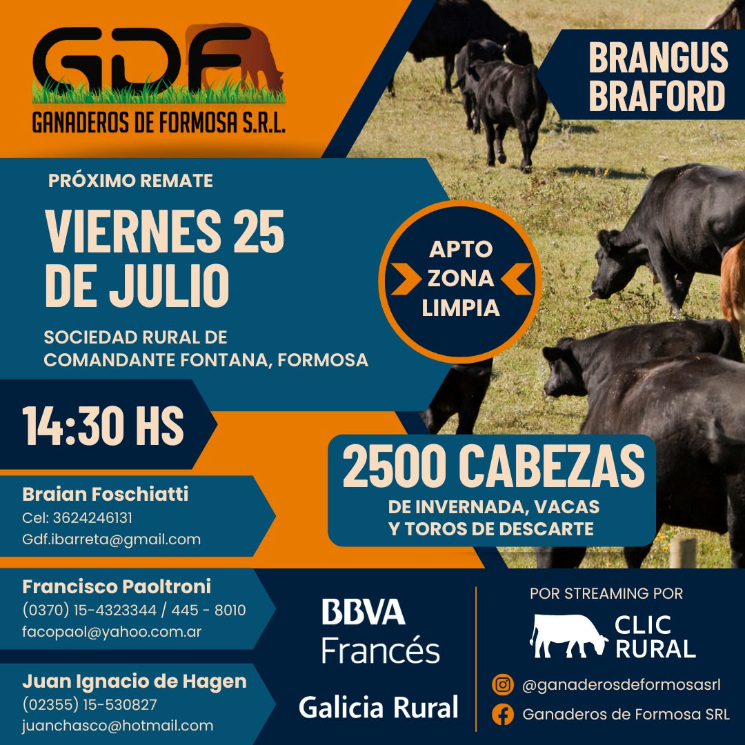 Remate 25 DE JULIO - Comandante Fontana