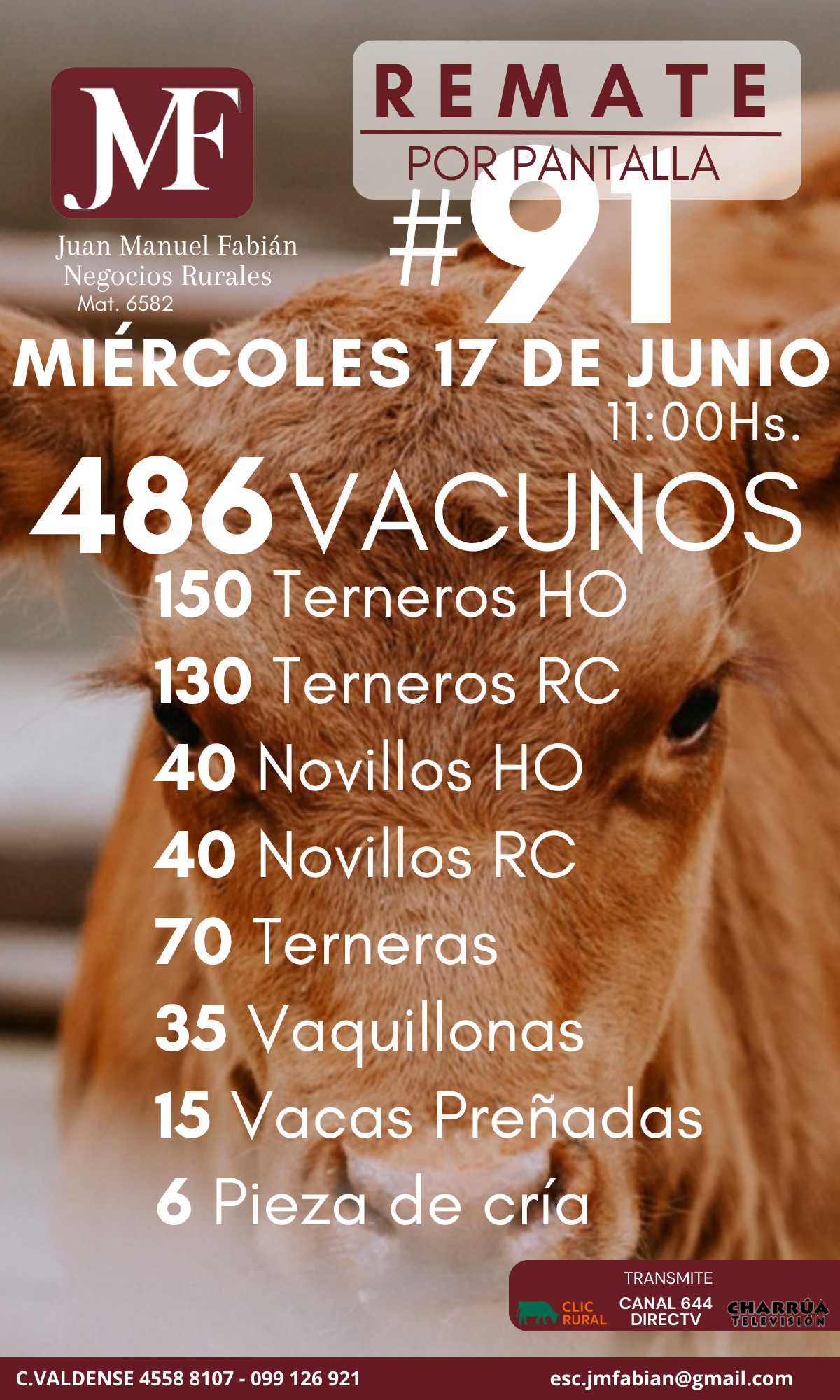 Remate 91º Remate por pantalla