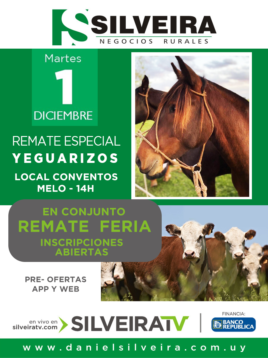Afiche Remate Feria Especial Yeguarizos 