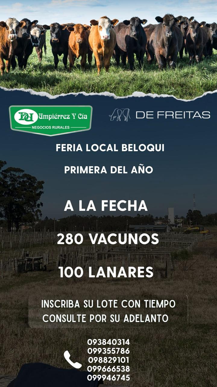 Remate Feria Mensual - Local Beloqui