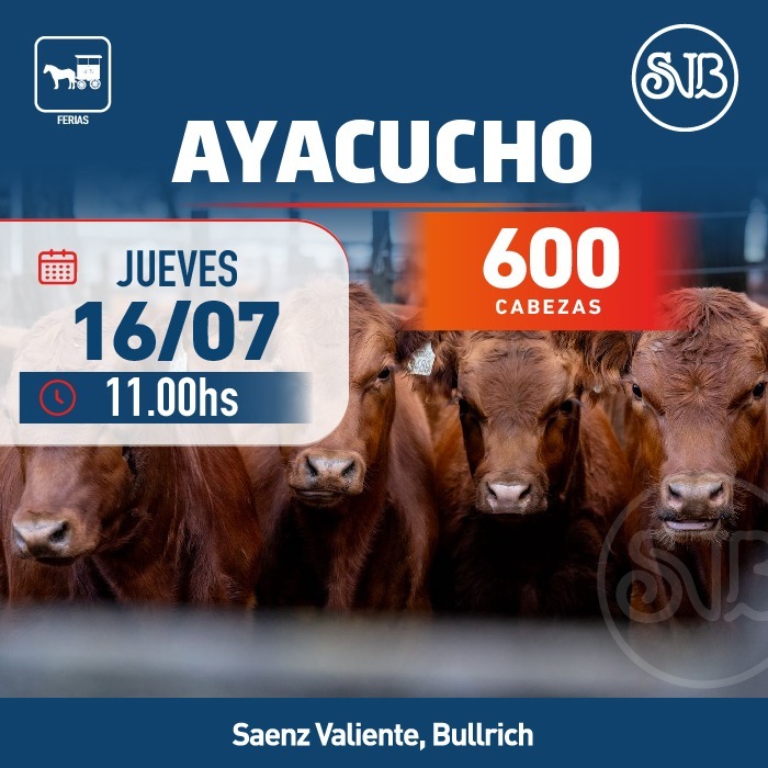 Feria en Ayacucho