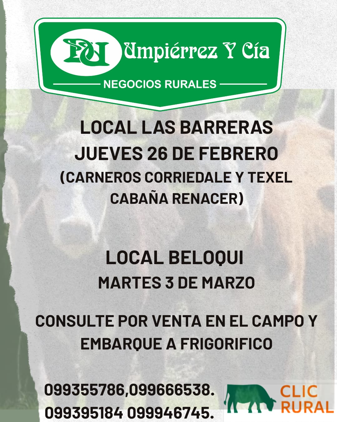 Feria mensual - Local Beloqui