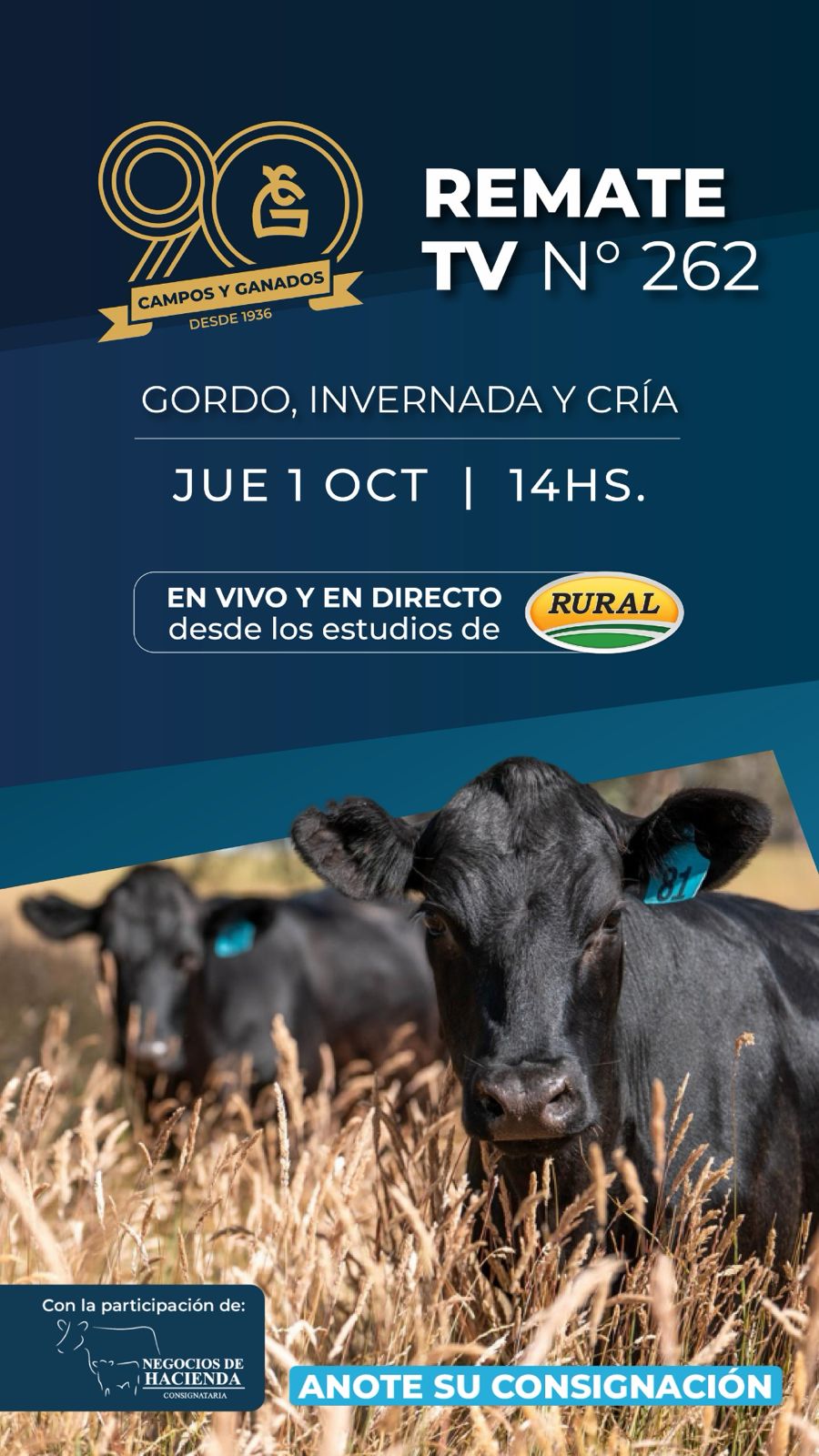 262° REMATE POR PANTALLA - 90° ANIVERSARIO