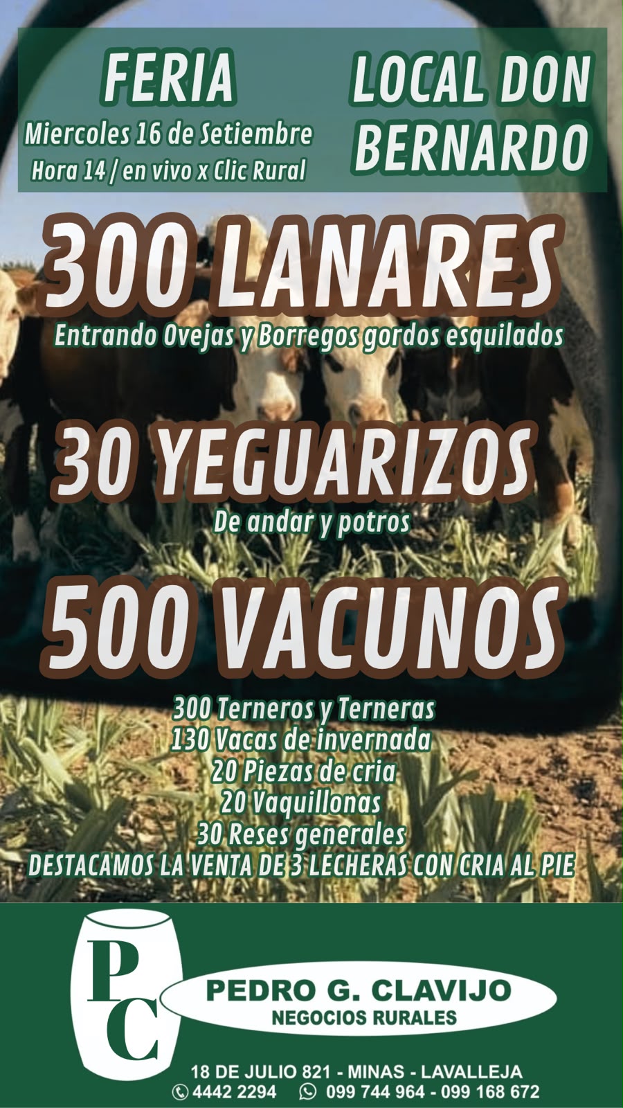 Afiche Feria mensual - Local Don Bernardo