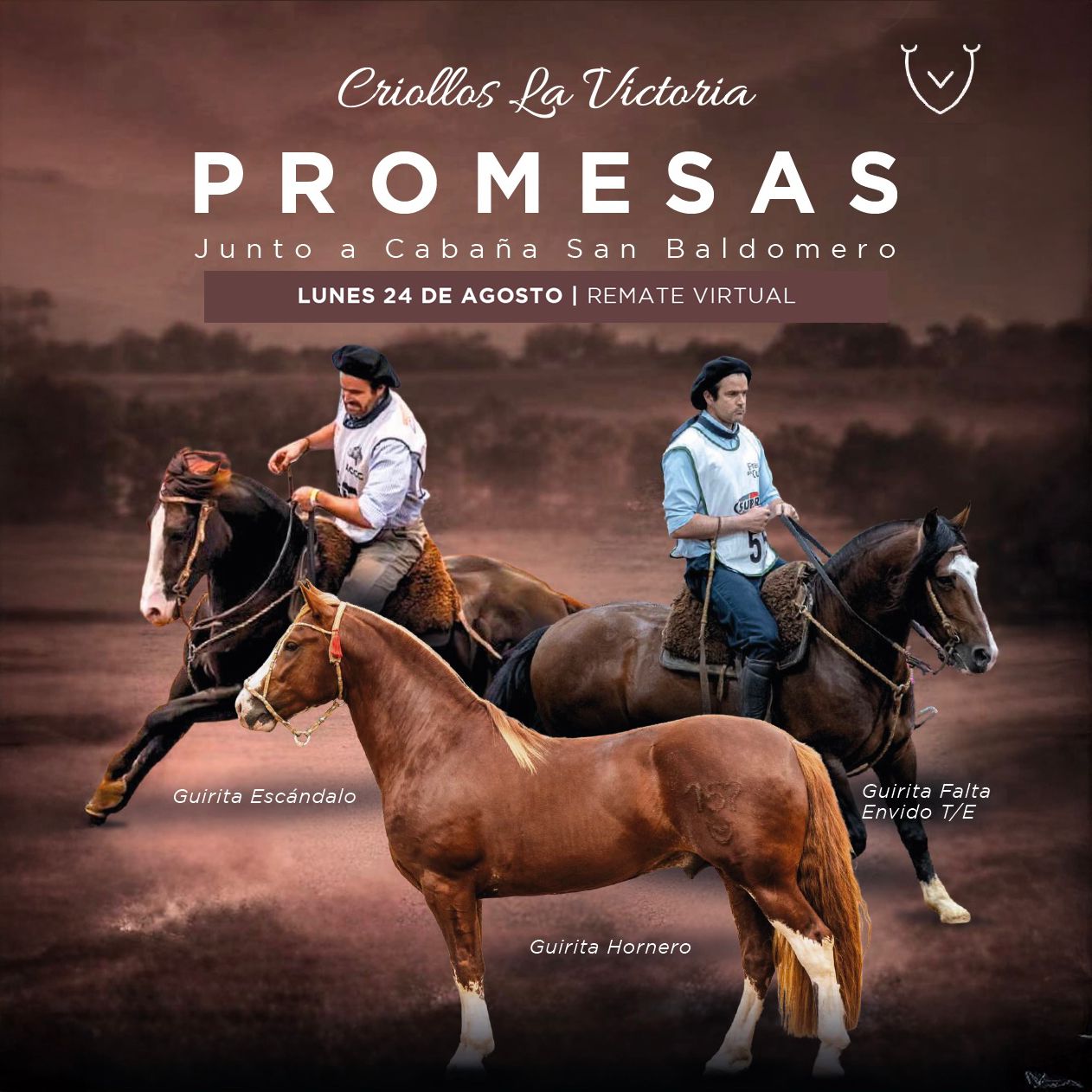 Afiche Cabaña La victoria