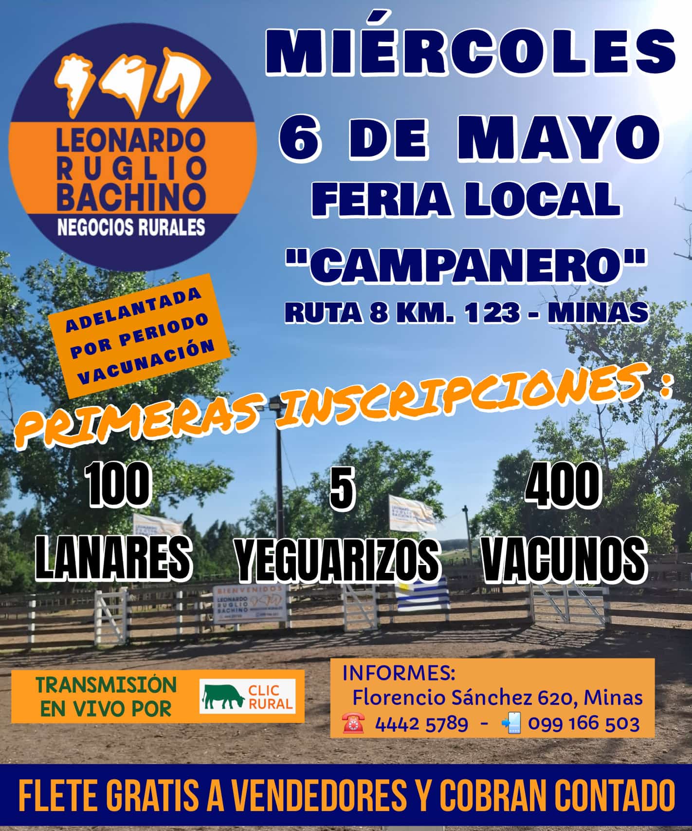 Remate Feria Mensual
