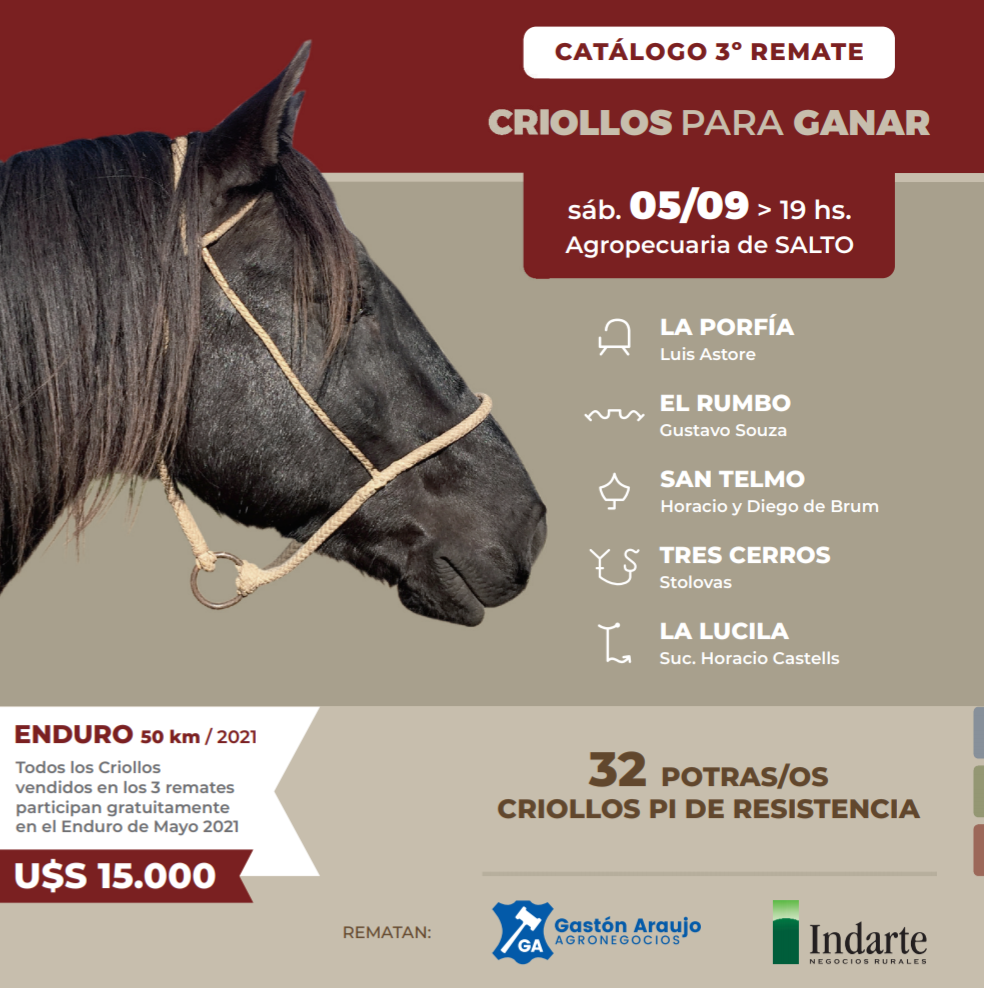 Afiche Criollos para Ganar