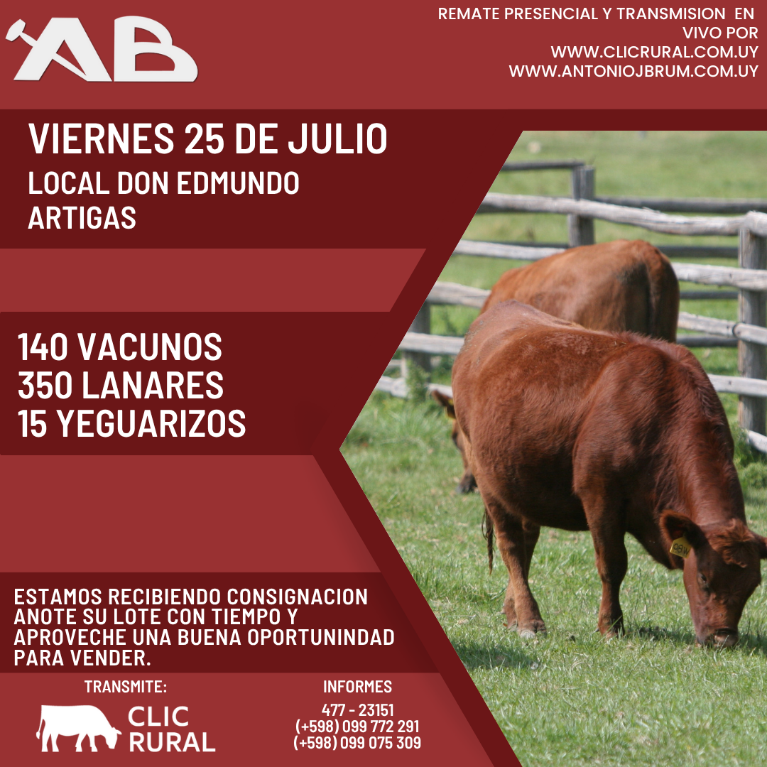 Afiche 
