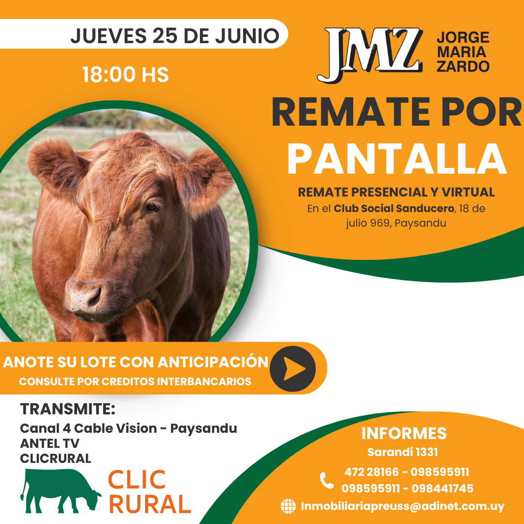 Remate Pantalla JMZ