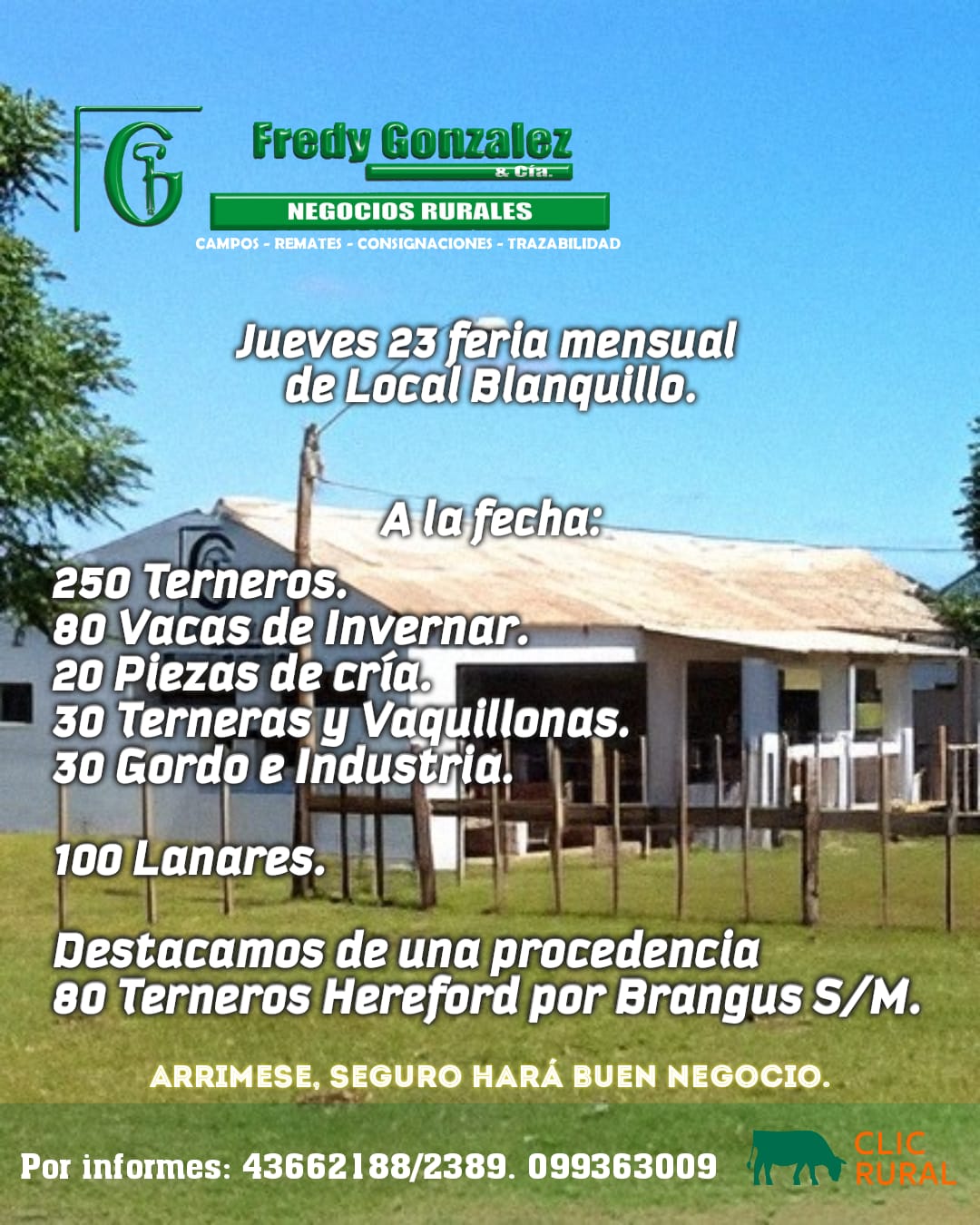 Afiche Feria mensual - Local Blanquillo