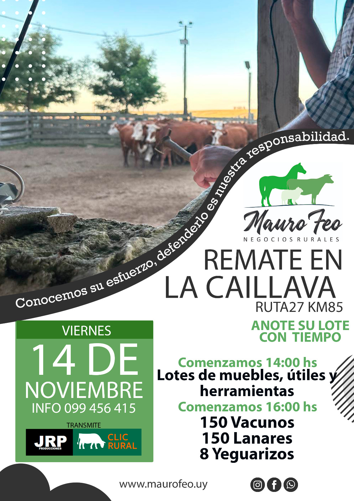 Remate Feria mensual - Mauro Feo