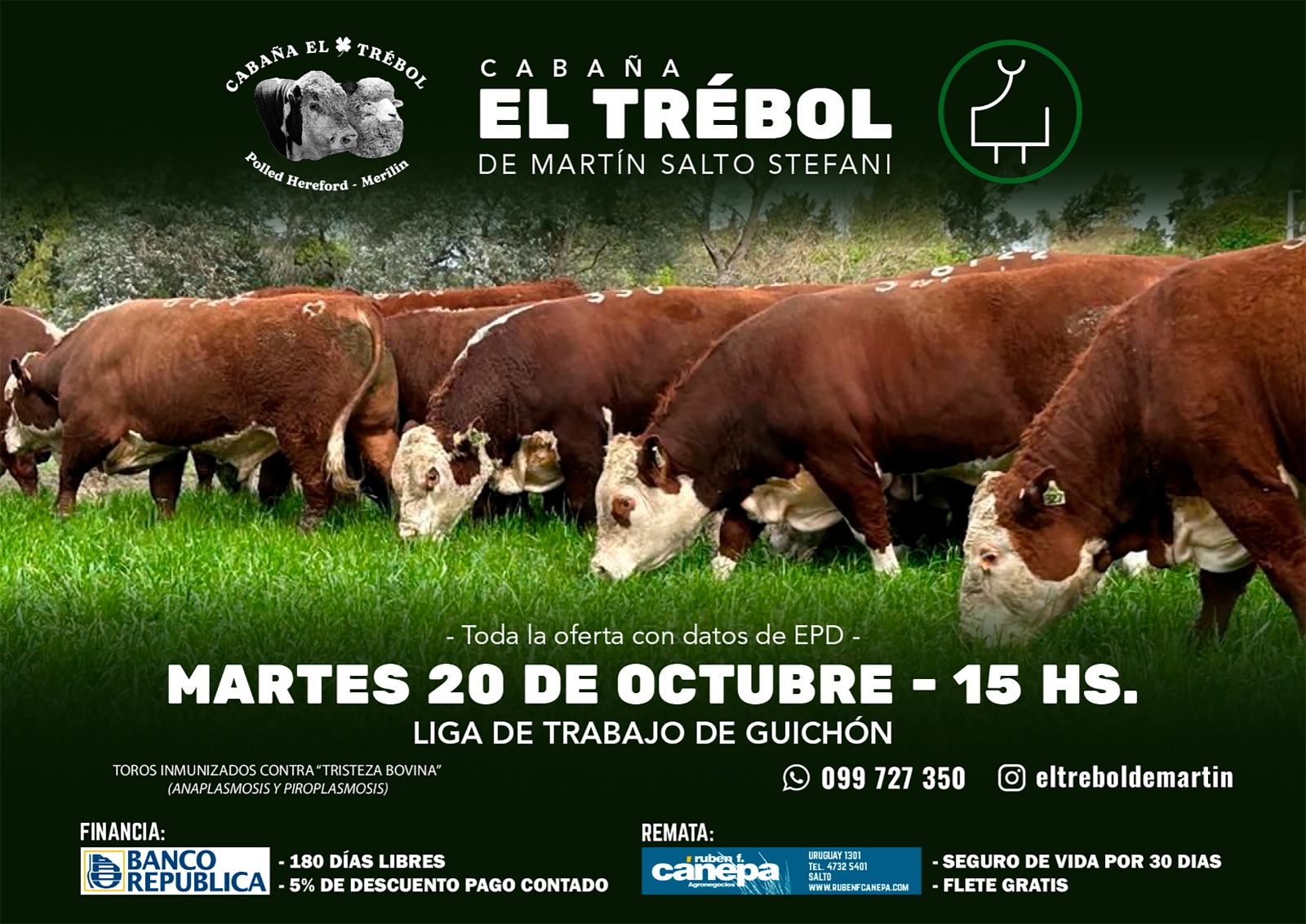 Remate Cabaña El Trebol