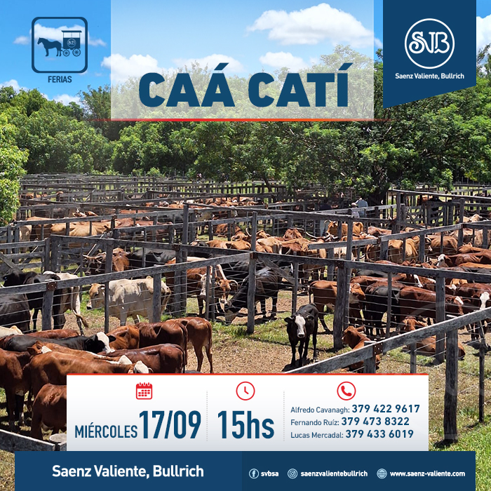 Feria en Caá Catí