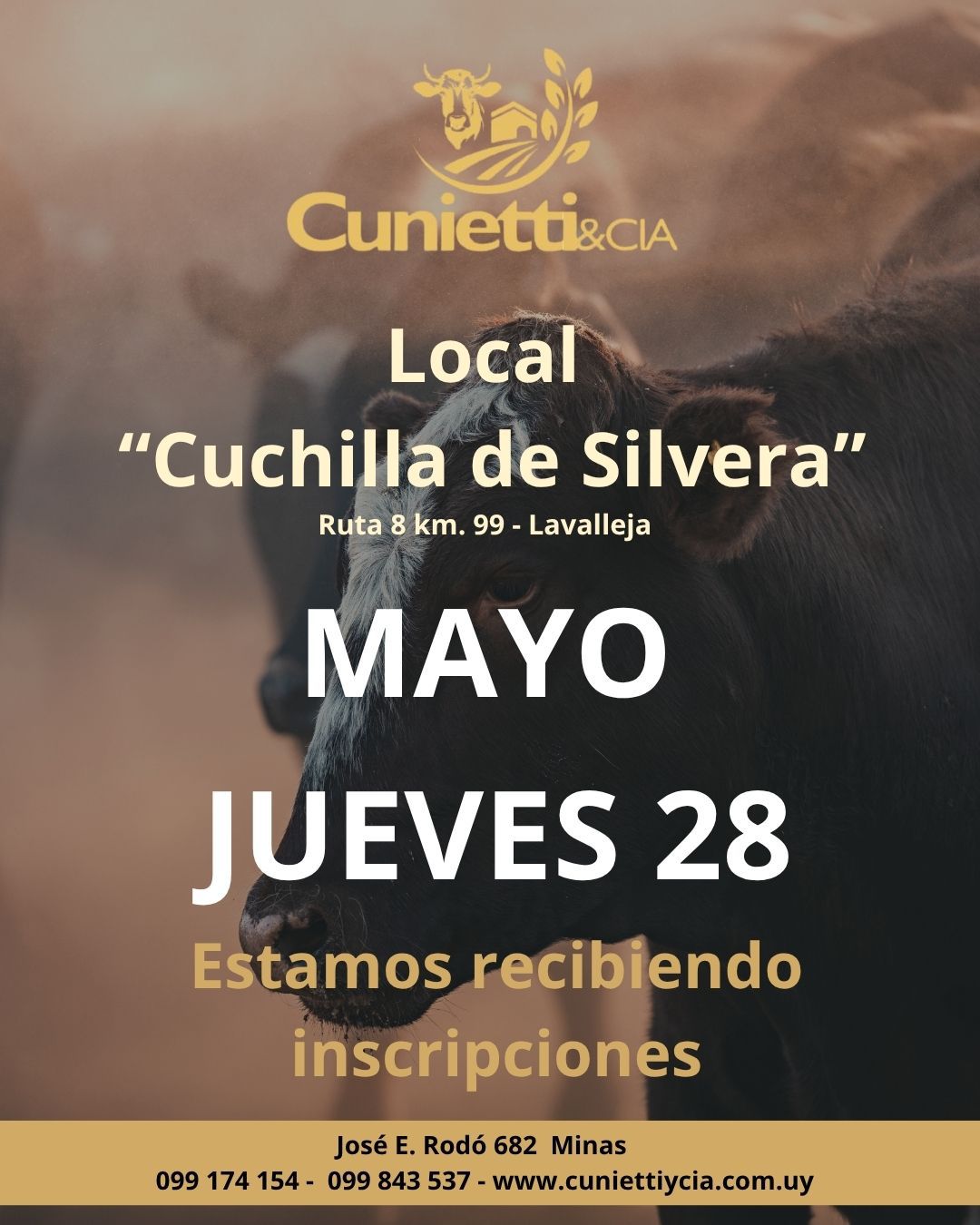 Feria - Jueves 28